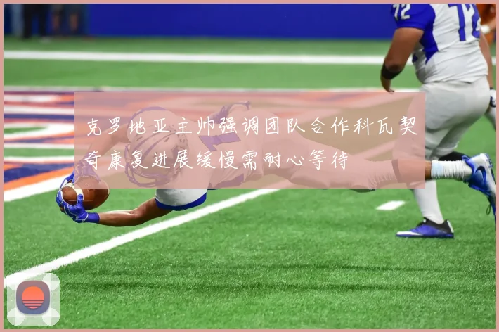 克罗地亚主帅强调团队合作科瓦契奇康复进展缓慢需耐心等待